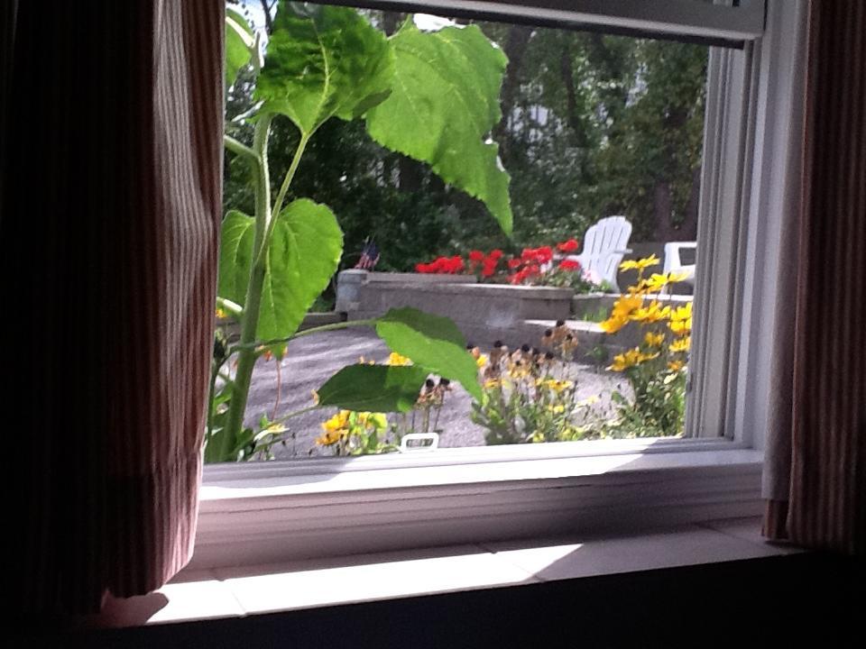 هول Josephine'S On The Bay Bed And Breakfast المظهر الخارجي الصورة